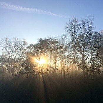 talleres Carolina Rodríguez