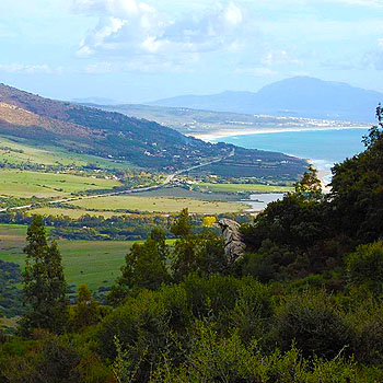 Retiro Carolina Rodríguez